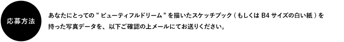 y@zȂɂƂẮgr[eBth[h`XPb`ubNiB4TCY̔jʐ^f[^AȉmF̏チ[ɂĂ肭B